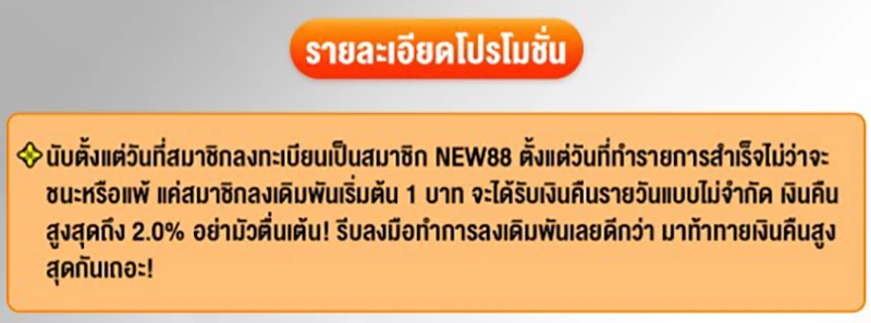 บทนำทั่วไป โปรโมชั่น เงินคืนรายวัน 2% ที่ NEW88