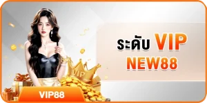 ระดับ VIP NEW88