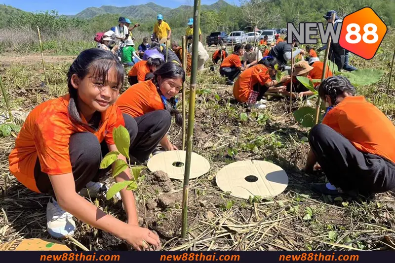 โครงการปลูกป่าเพื่อสิ่งแวดล้อมโดย NEW88